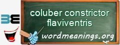 WordMeaning blackboard for coluber constrictor flaviventris